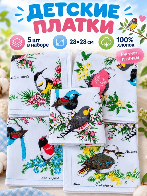 Lapastel Платки 5 шт 28х28 см хлопок детские в карман подарочные, 28x28 см, 5 шт