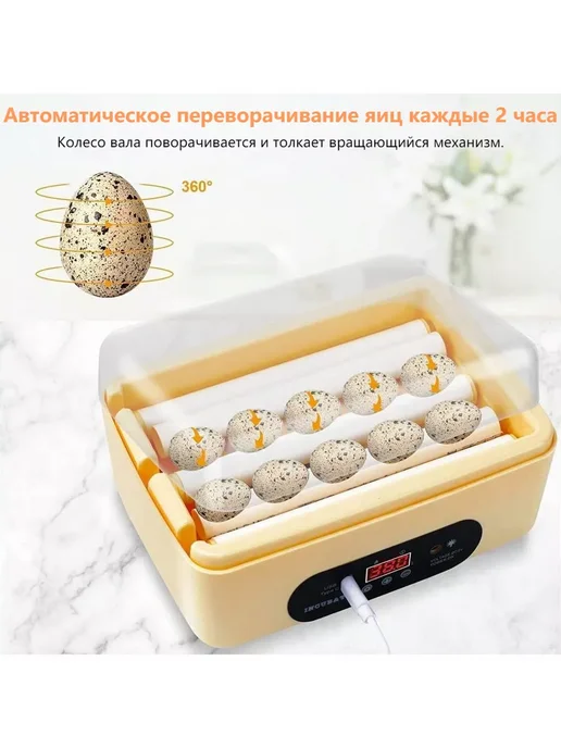 Инкубатор несушка автоматический-4-6 шт, 46 шт, фото 6