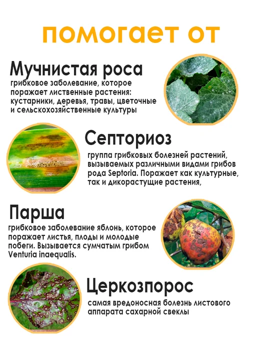 Топсин-М, 100 мл. Средство от болезней парши гнили росы, 100 мл, фото 2