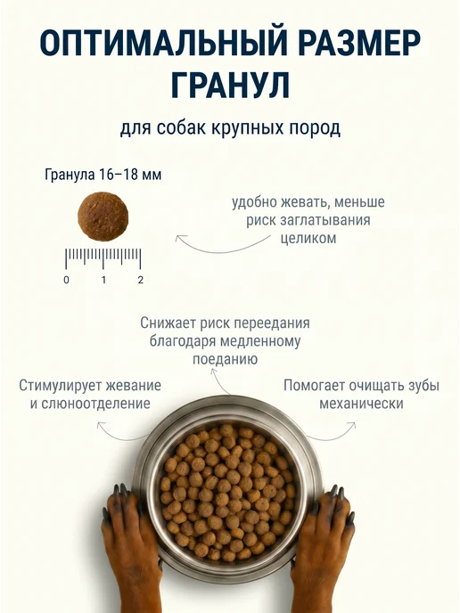 Сухой корм BERITA для собак, крупные, рыба, 15 кг, фото 2