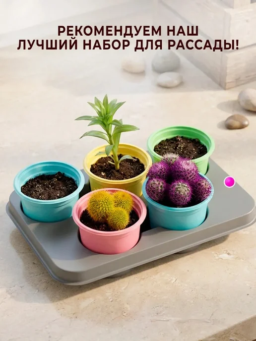 GT Рыхлитель садовый с пластиковой ручкой 20x7.5 см, вариант, фото 4