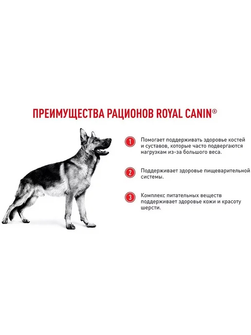 Сухой корм Royal canin для собак, взрослые, крупные, 20 кг, фото 3