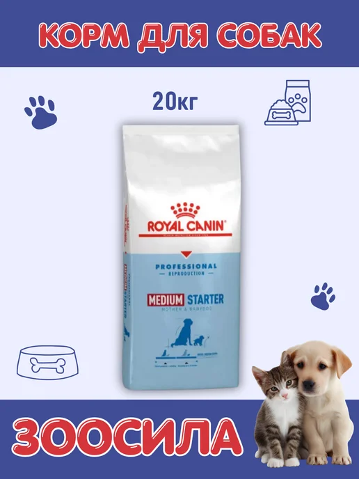 Сухой корм Royal canin Starter для собак, средние, 20 кг