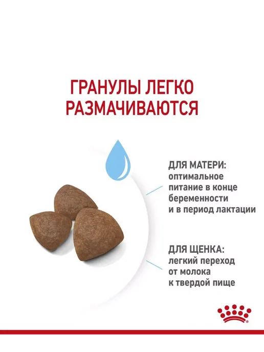 Сухой корм Royal canin Starter для собак, средние, 20 кг, фото 4