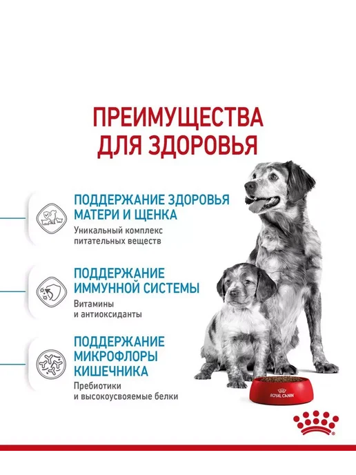 Сухой корм Royal canin Starter для собак, средние, 20 кг, фото 5
