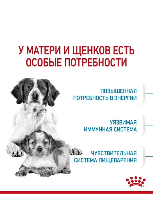 Сухой корм Royal canin Starter для собак, средние, 20 кг, фото 6
