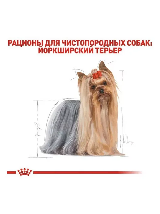 Сухой корм Royal canin Yorkshire Terrier для собак, взрослые, 15 кг, фото 5