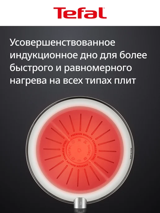 Tefal Сковорода Emotion+ Flavors 24 см, для индукционной плиты, черный, фото 6