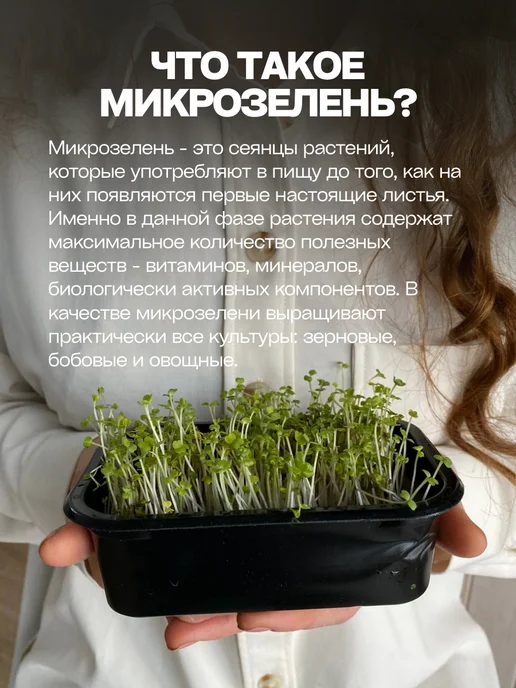 Микромир Набор для выращивания микрозелень кеил 3шт, 3 шт, фото 3