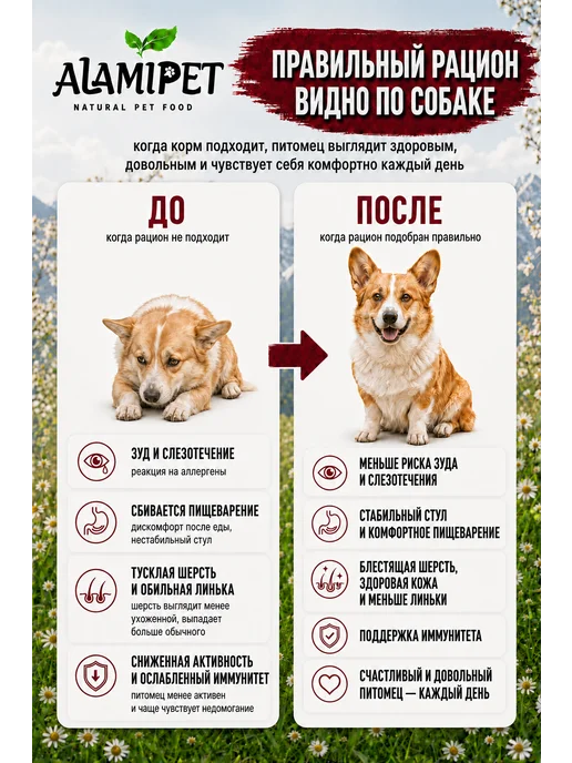 Сухой корм ALAMIPET Cухой для собак, крупные, средние, 0,8 кг, фото 8