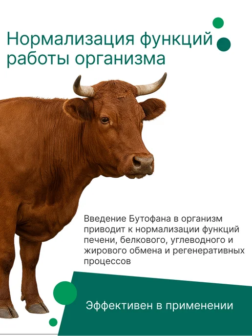 Nita-Farm Кабуфол, 100 мл, 100 мл, фото 3