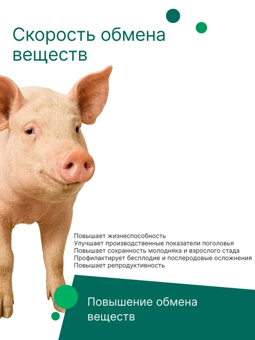 Nita-Farm Кабуфол, 100 мл, 100 мл, фото 4