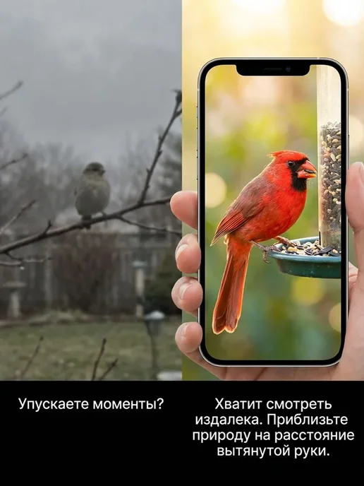 кормушка для птиц уличная на дерево с камерой, вариант, фото 2