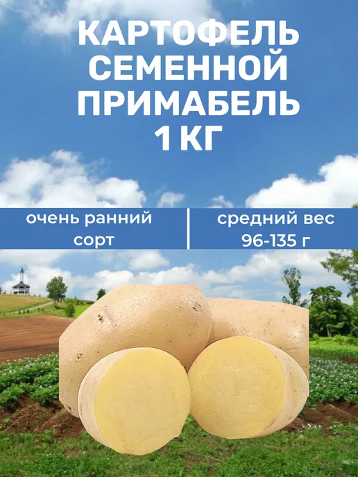 Myfanza Картофель Примабель, 1 кг, 1 кг