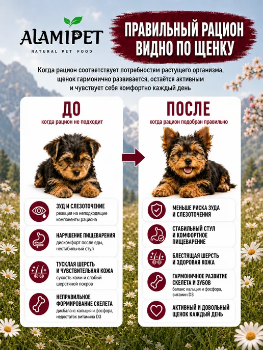 Сухой корм ALAMIPET для собак, мелкие, щенки, 0,8 кг, фото 7