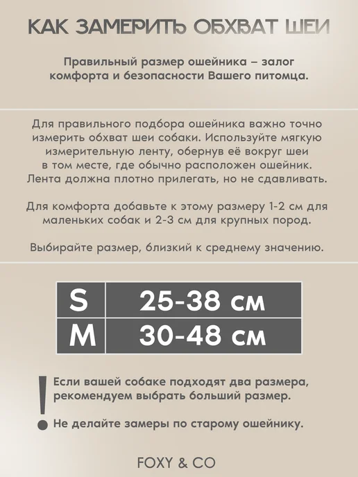 FOXY & CO Ошейник с принтом на стропе, для собак, 25 мм, "Лисички", синий, фото 3