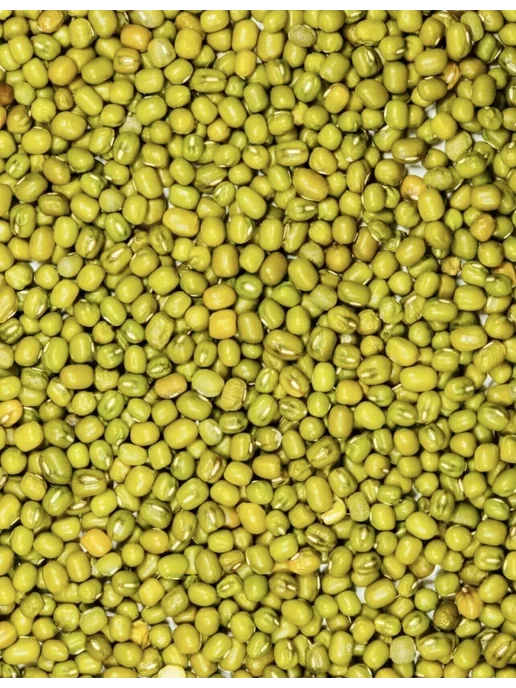 DryFruit Маш для приготовления и проращивания 1кг, 2 кг, фото 6