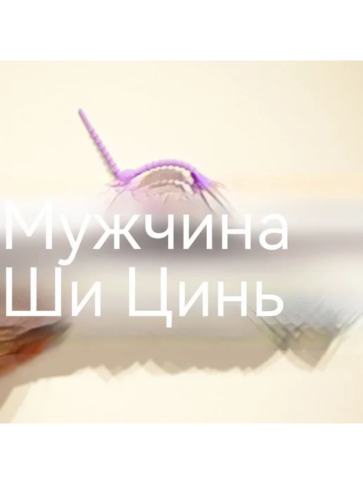 Сумки Сумки Универсальный размер, фиолетовый