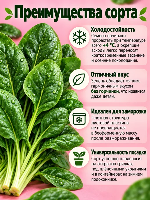 АЭЛИТА Семена шпината Жирнолистный 3 г, 3 г, фото 3