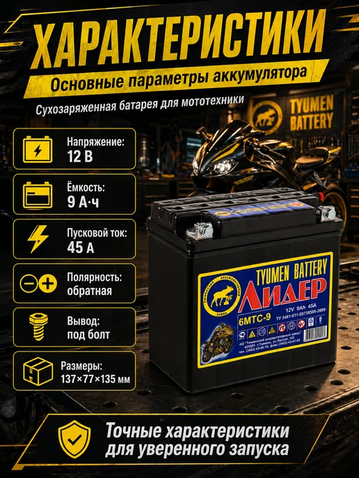 Тюменский аккумуляторный завод Аккумулятор для мотоцикла 12v 6MTC-9 Лидер, вариант, фото 2