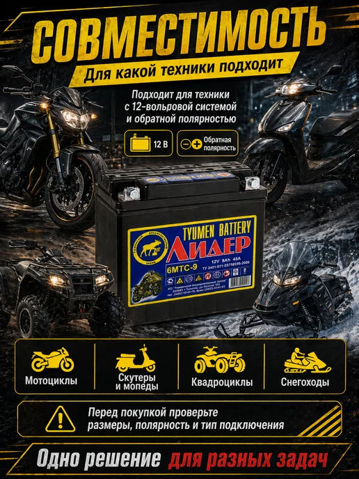 Тюменский аккумуляторный завод Аккумулятор для мотоцикла 12v 6MTC-9 Лидер, вариант, фото 4