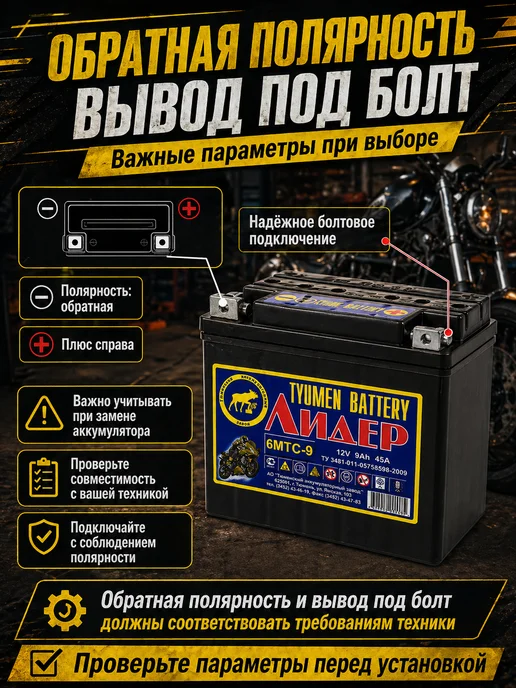 Тюменский аккумуляторный завод Аккумулятор для мотоцикла 12v 6MTC-9 Лидер, вариант, фото 5
