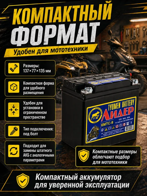 Тюменский аккумуляторный завод Аккумулятор для мотоцикла 12v 6MTC-9 Лидер, вариант, фото 6