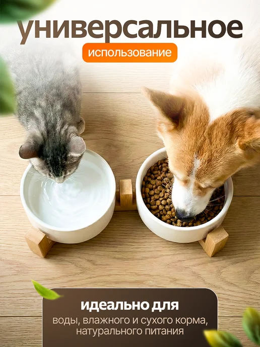 PETFORT Миски для кошек и собак мелких пород керамические, белый, фото 3