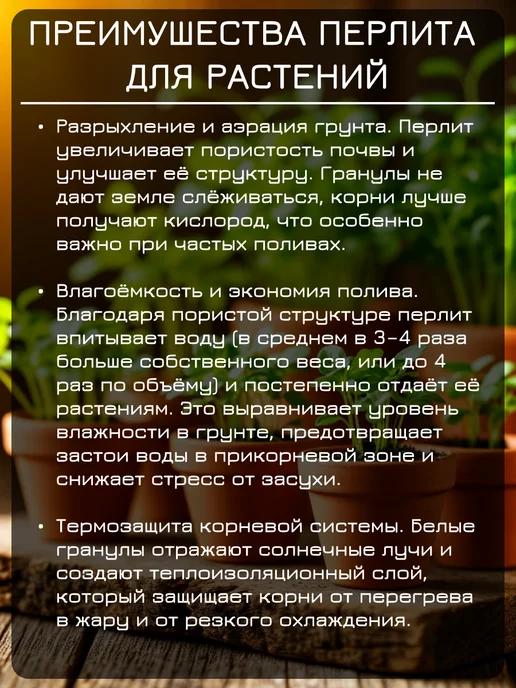 Сила Сада Перлит дренаж для комнатных растений и рассады 2л Агроперлит, 2 л, фото 4