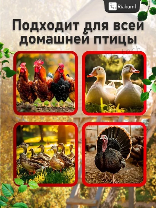 Перосъемная машина электрический пинцет аккумуляторный, черный, фото 4