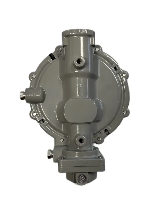 CavagnaGroup Регулятор давления газа Тип 998 12кг час, 12 кг, фото 4