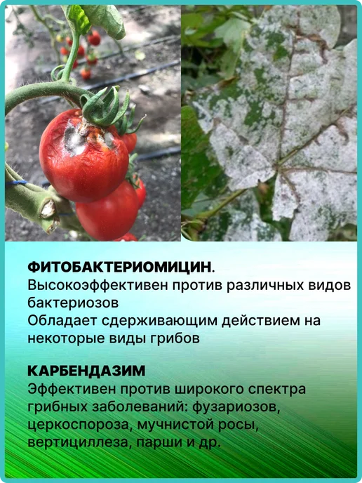 Pharmbiomed Стрекар,КС 500мл, 500 мл, фото 3