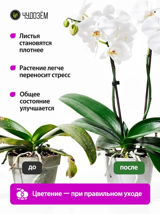 Чудозем Удобрение спрей для орхидей для цветения и воздушных корней, вариант, фото 3
