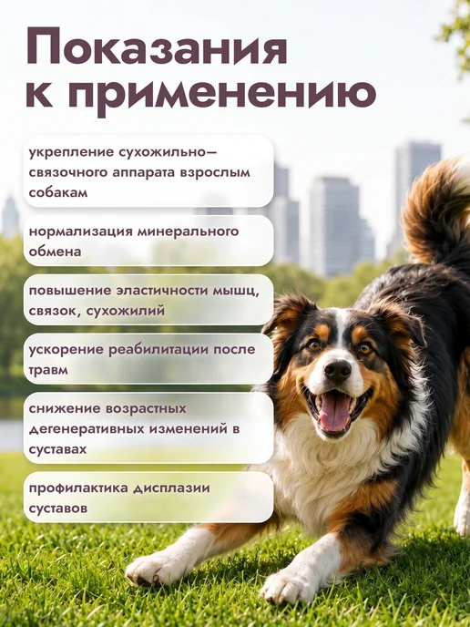 polidex Глюкогекстрон плюс 300 хондропротектор для собак и щенков, вариант, фото 2