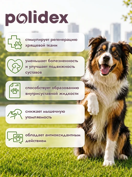 polidex Глюкогекстрон плюс 300 хондропротектор для собак и щенков, вариант, фото 4