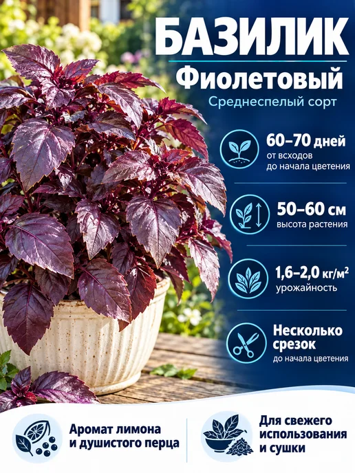 Агрофирма АЭЛИТА Оригинал Семена базилик лимонный аромат для подоконника, фиолетовый, фото 2