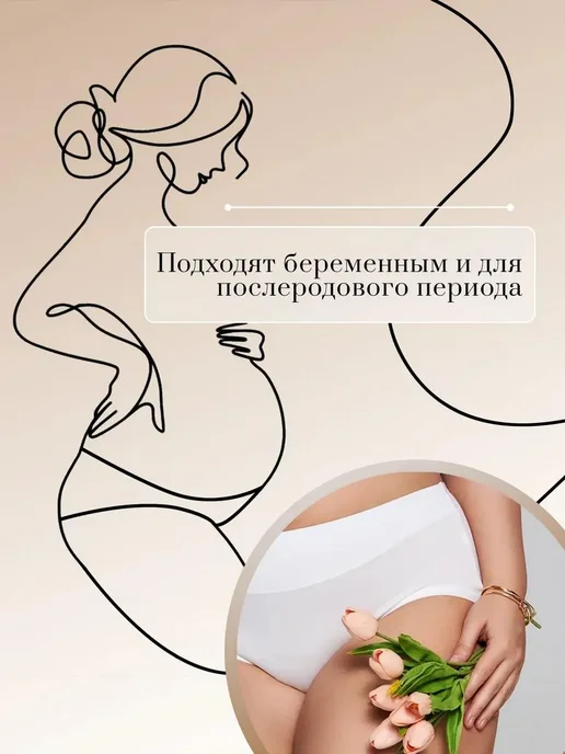 ТвойБазовый Трусы бамбуковые в наборе 5 шт, 5 шт, фото 2