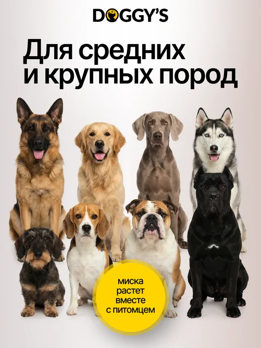 DOGGY'S Миски для собак на подставке, 1,8 л, фото 8