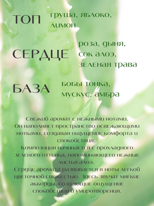 REVAWAXMARKET Ароматическая отдушка Алоэ - вера 30 мл, 30 мл, фото 2