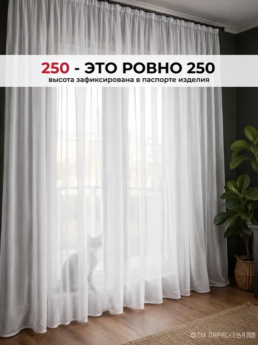 Параскева Тюль в гостиную и спальню 700*250 вуаль белая креп шифон, 700x250, фото 4