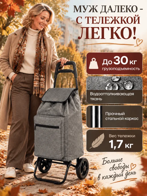 PARK Хозяйственная сумка тележка на колесах, вариант