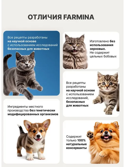 Сухой корм Farmina Кабан Яблоко для собак, беззерновой, мелкие, 0,85 кг, фото 5