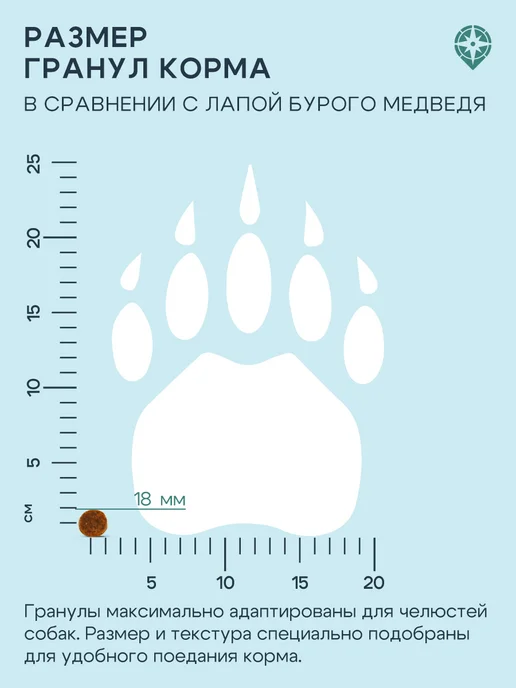 Сухой корм Территория Морошк… для собак, взрослые, ягненок, 0,81 кг, фото 5