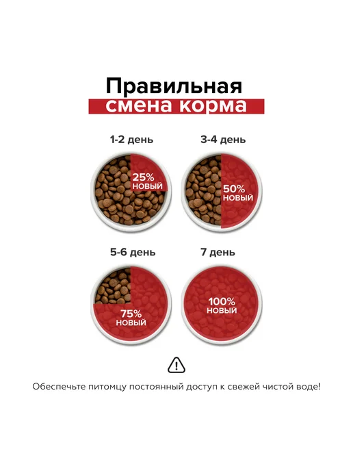 Сухой корм Doctrine Свежим для собак, индейка, мясо, 0,8 кг, фото 7