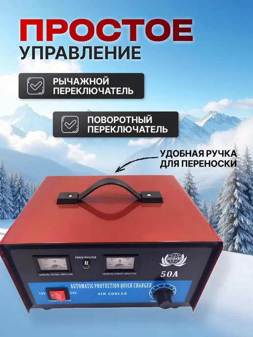 Автоматическое устройство для зарядки аккумулятора, вариант, фото 3