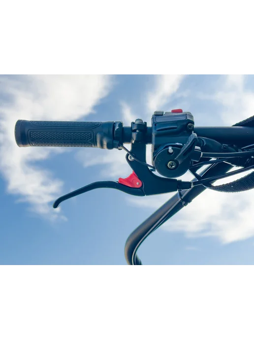 Baltmotors Мотобуксировщик Snowdog Sport 2027+сани 1450 в подарок, белый, фото 7