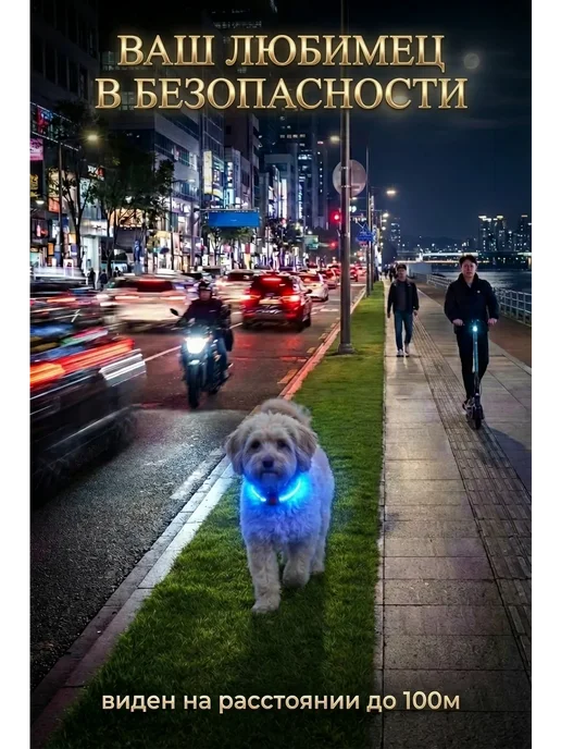 Электромик Ошейник светящийся для собак оранжевый, синий, фото 2