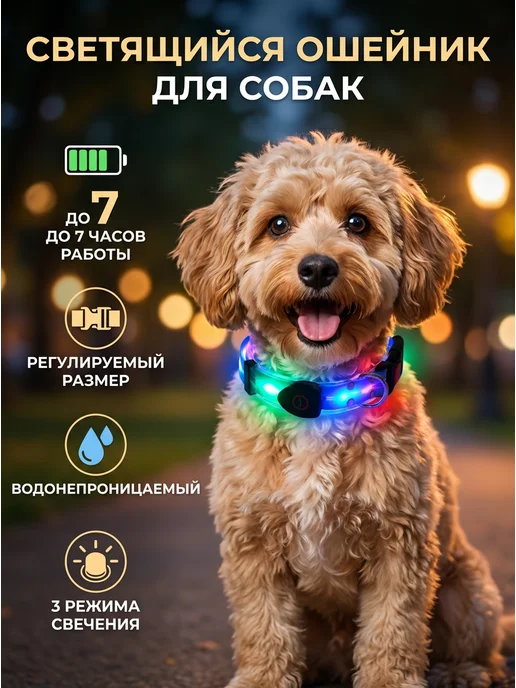 Электромик Ошейник светящийся для собак оранжевый, синий, фото 6