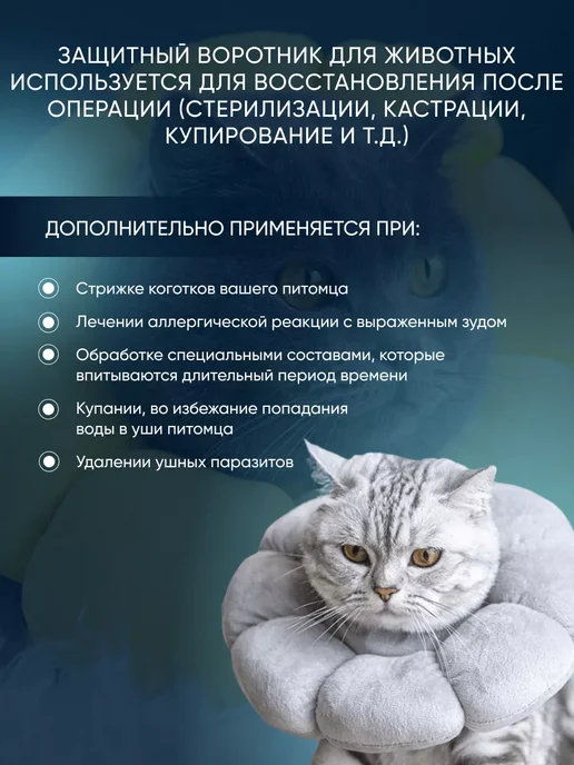 Защитный воротник для кошек и собак ветеринарный, серый, фото 4