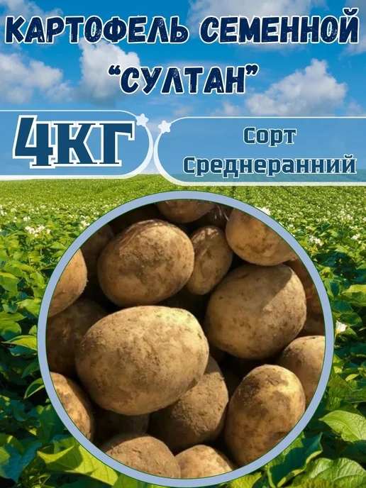 Садовник Кузя Картофель семенной Султан, желтый